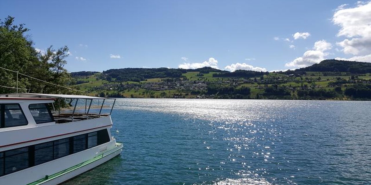 Hallwilersee-Lauf